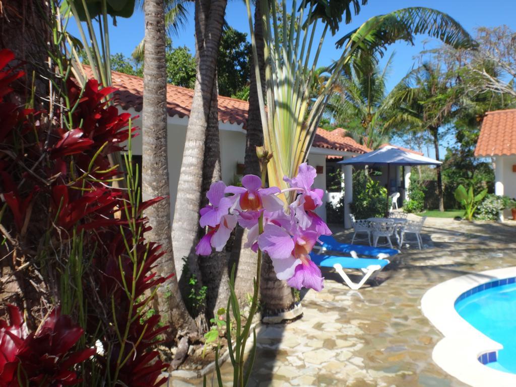 Bed & Breakfast Garden By The Sea Sosua