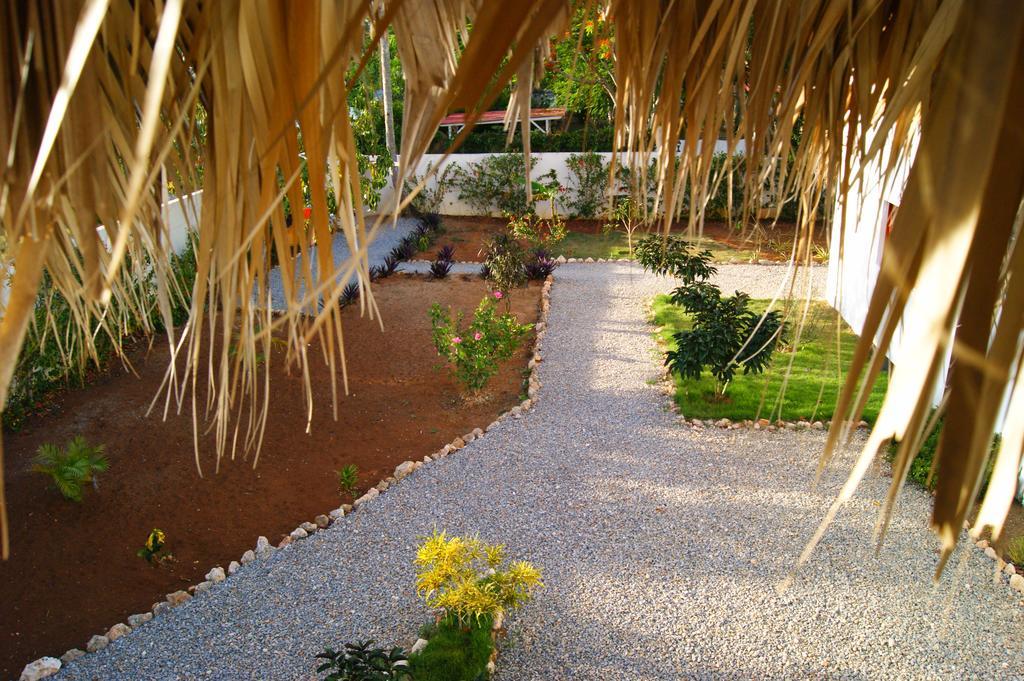 La Casa De Sergio Y Cristina Bed & Breakfast Las Terrenas