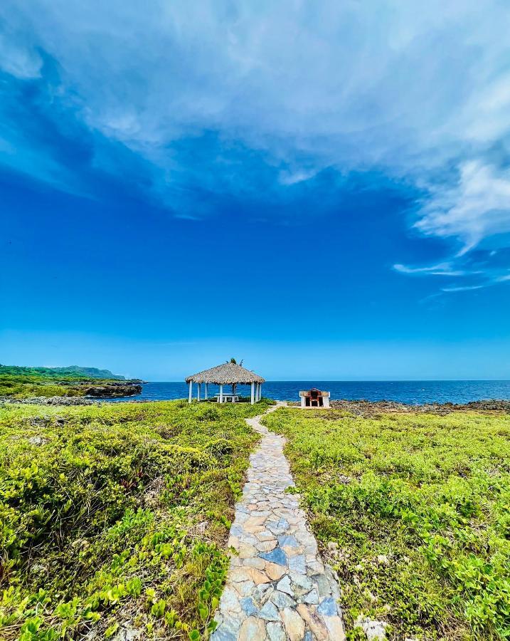 Palm House - Luxury - Samana - Ocean Front Villa