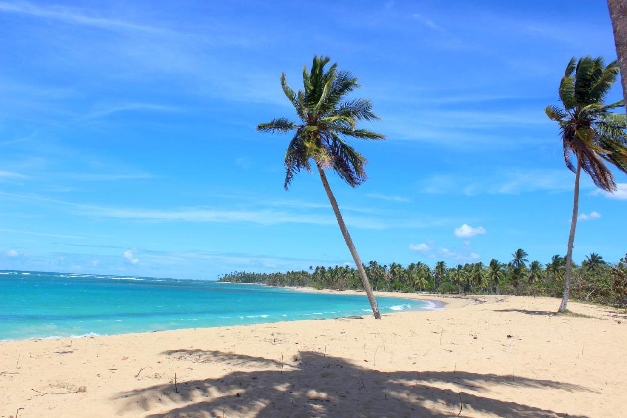 Amar'e & * Las Terrenas