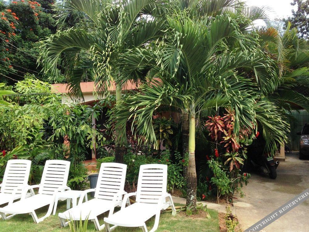 Casa Lily & Coco Las Terrenas