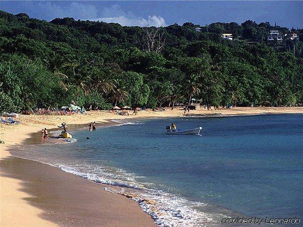 Victorian House 3* Sosua