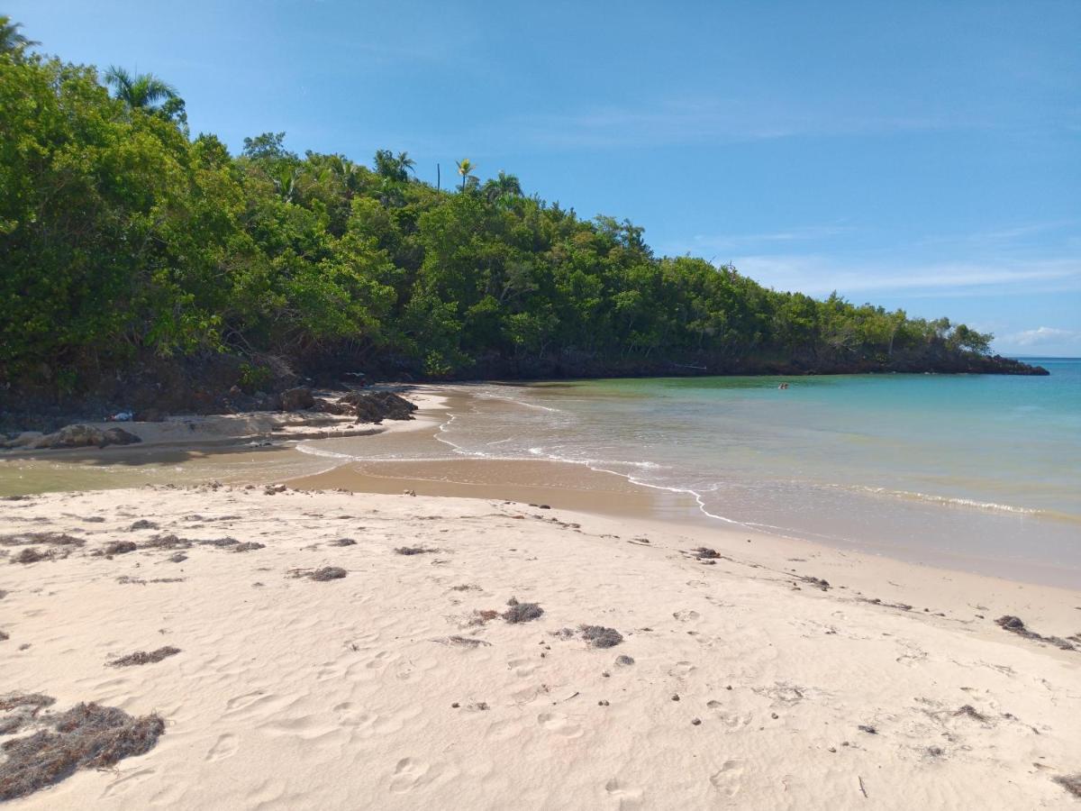 Beachfront 2br With Pool & Terrace In Terrenas