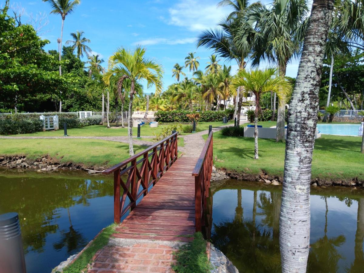 Beachfront 2br With Pool & Terrace In Terrenas Apartment