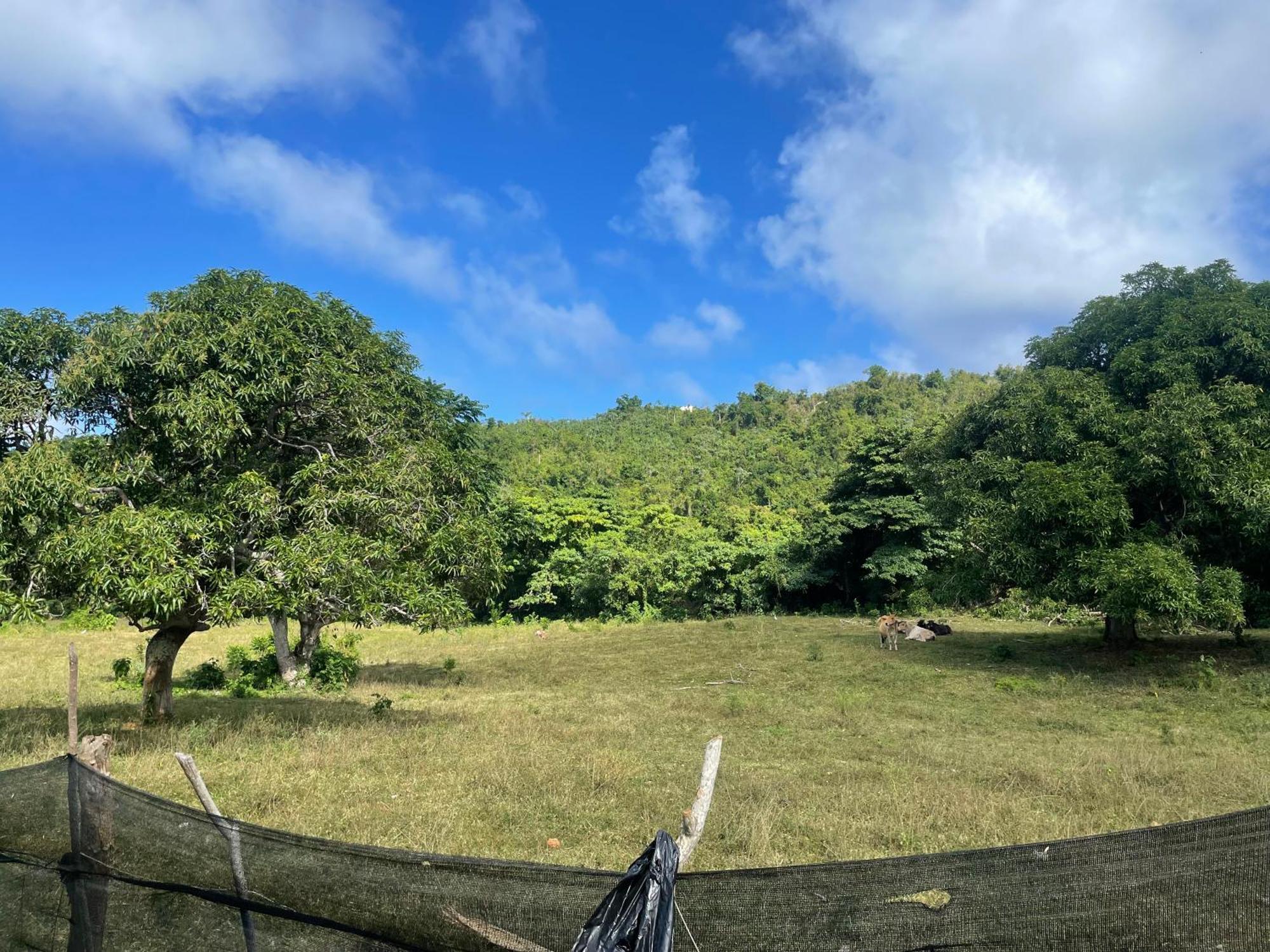 Dreamvilles Ecovillage Galeras