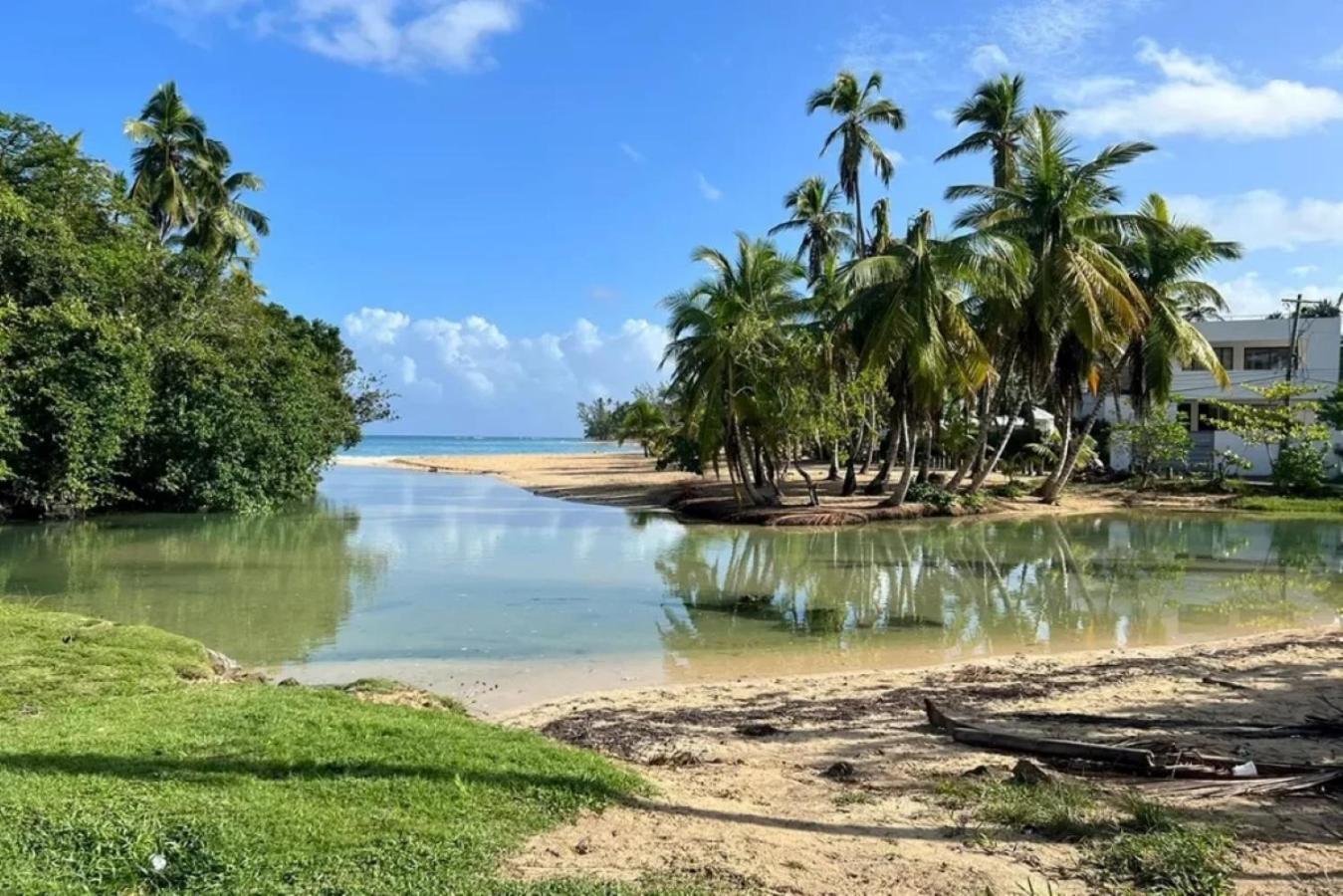 Apartment Beachfront 2br With Pool & Terrace In Terrenas Las Terrenas