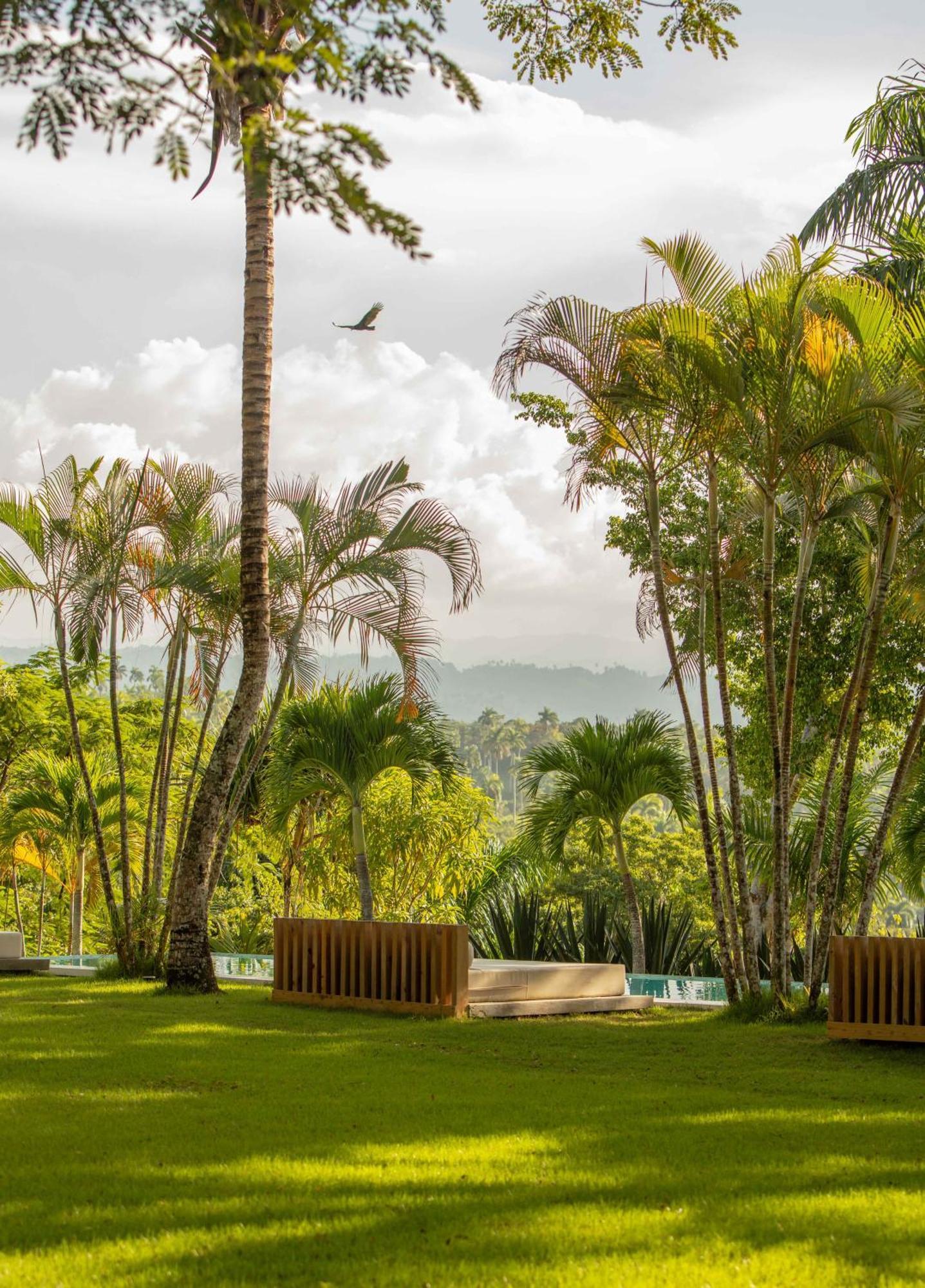 Oya - Wellness Eco & Retreat Resort