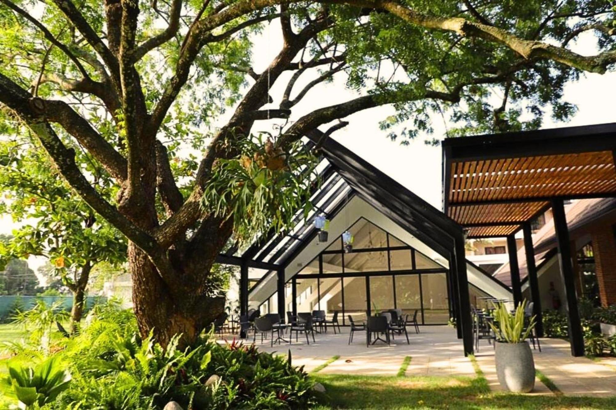 Hotel Pinar Dorado By Gran Jimenoa