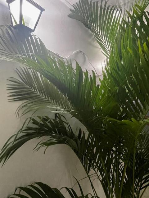 Costa Linda Hotel