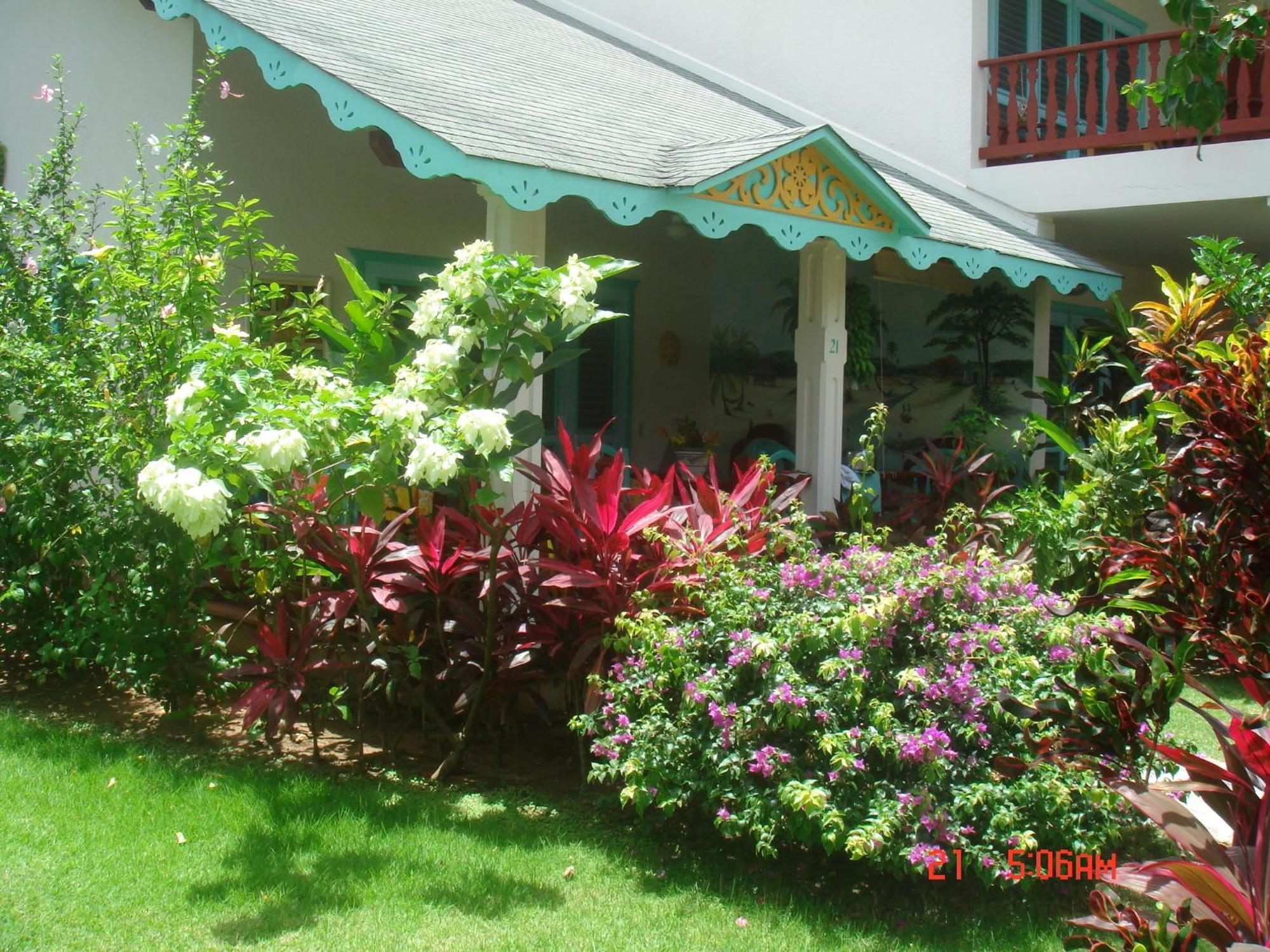 Hotel Playa Colibri
