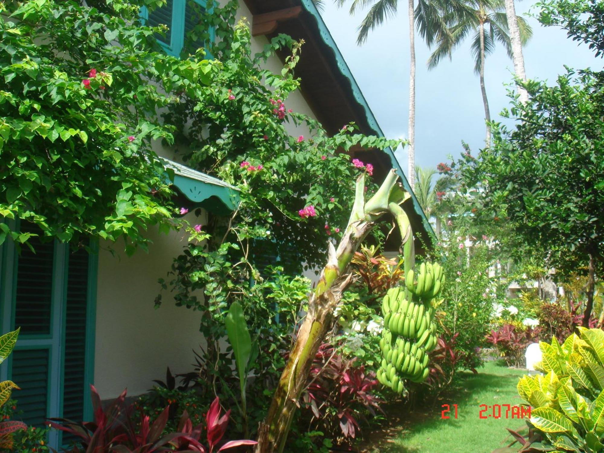 Playa Colibri 4* Las Terrenas