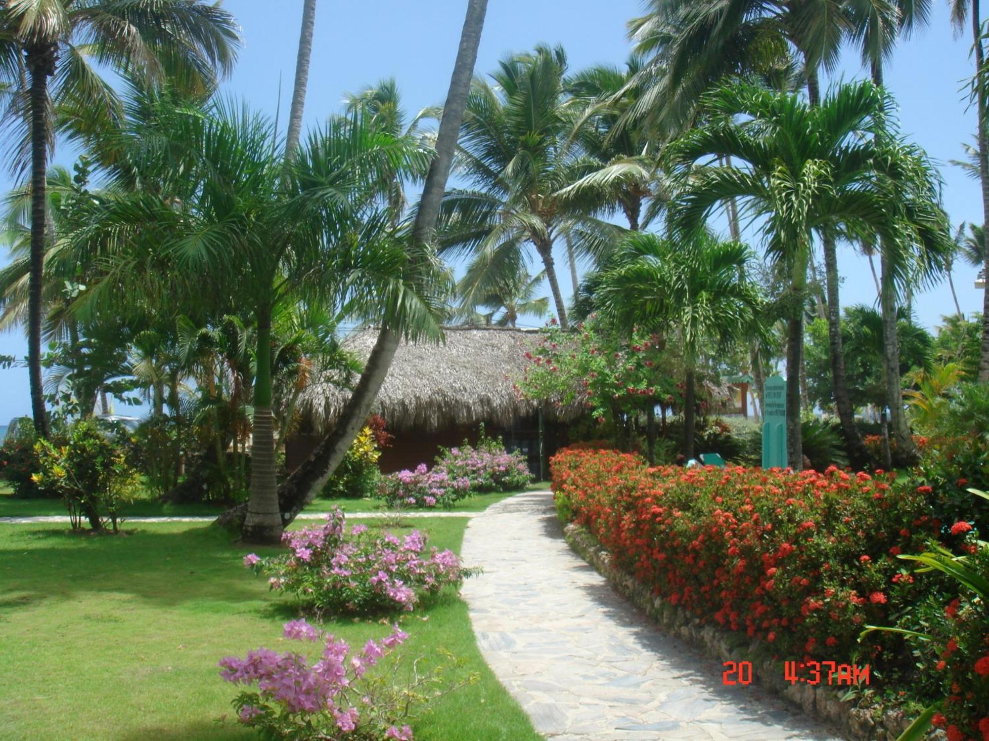 Playa Colibri Hotel