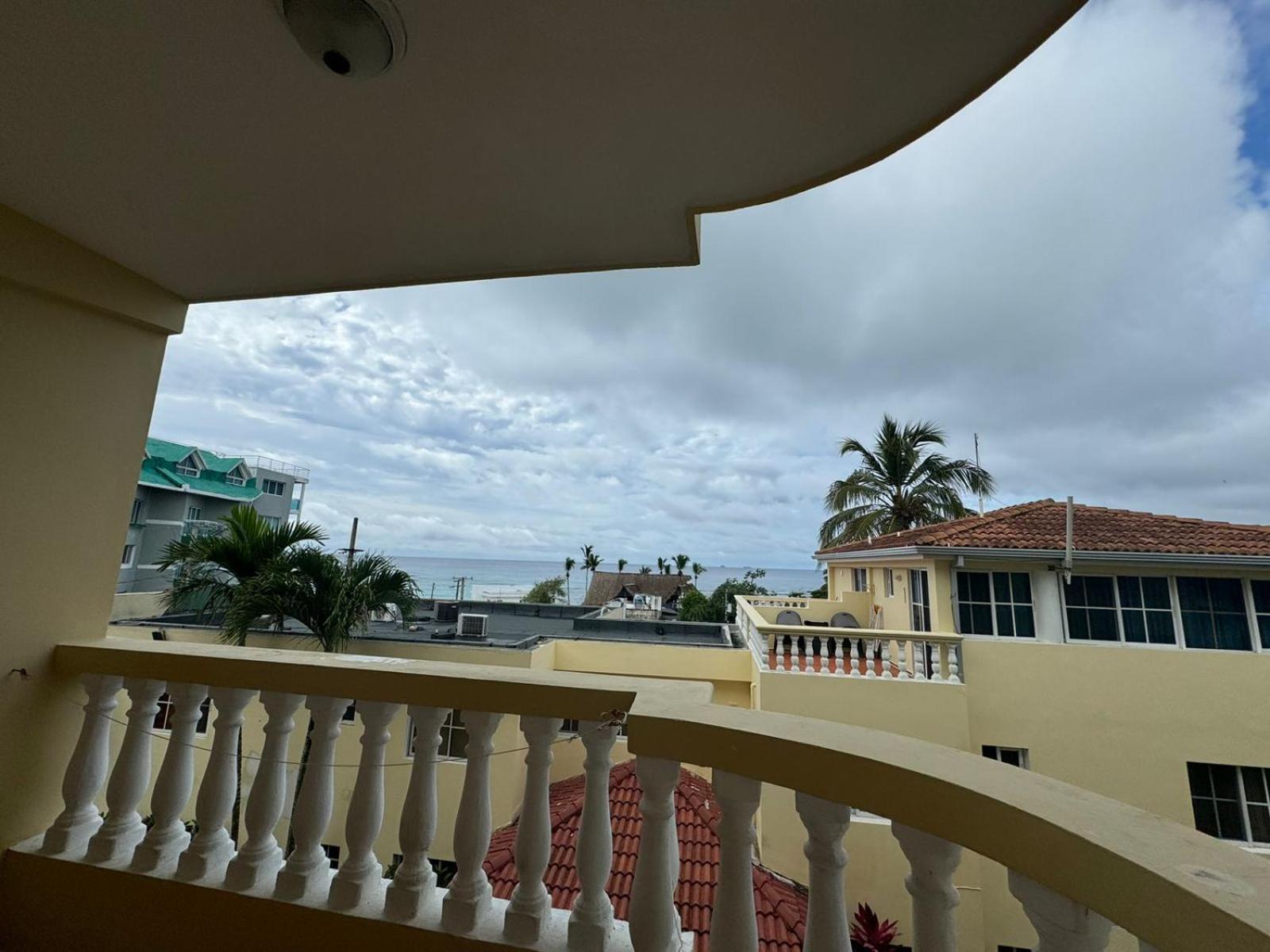 Palmeras By Graziano