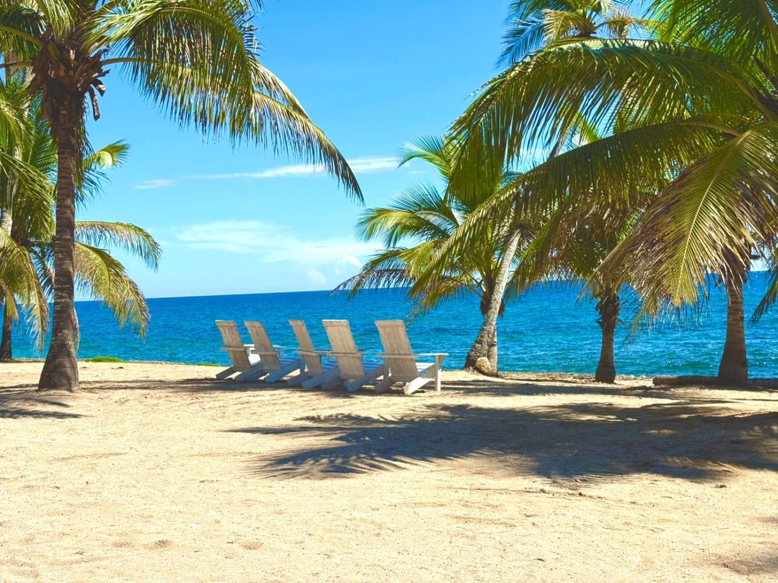 Nana Tu Refugio Con Vista Al Mar, Piscina, Wifi, Lavadora Secadora Reserva Ahora Apartment