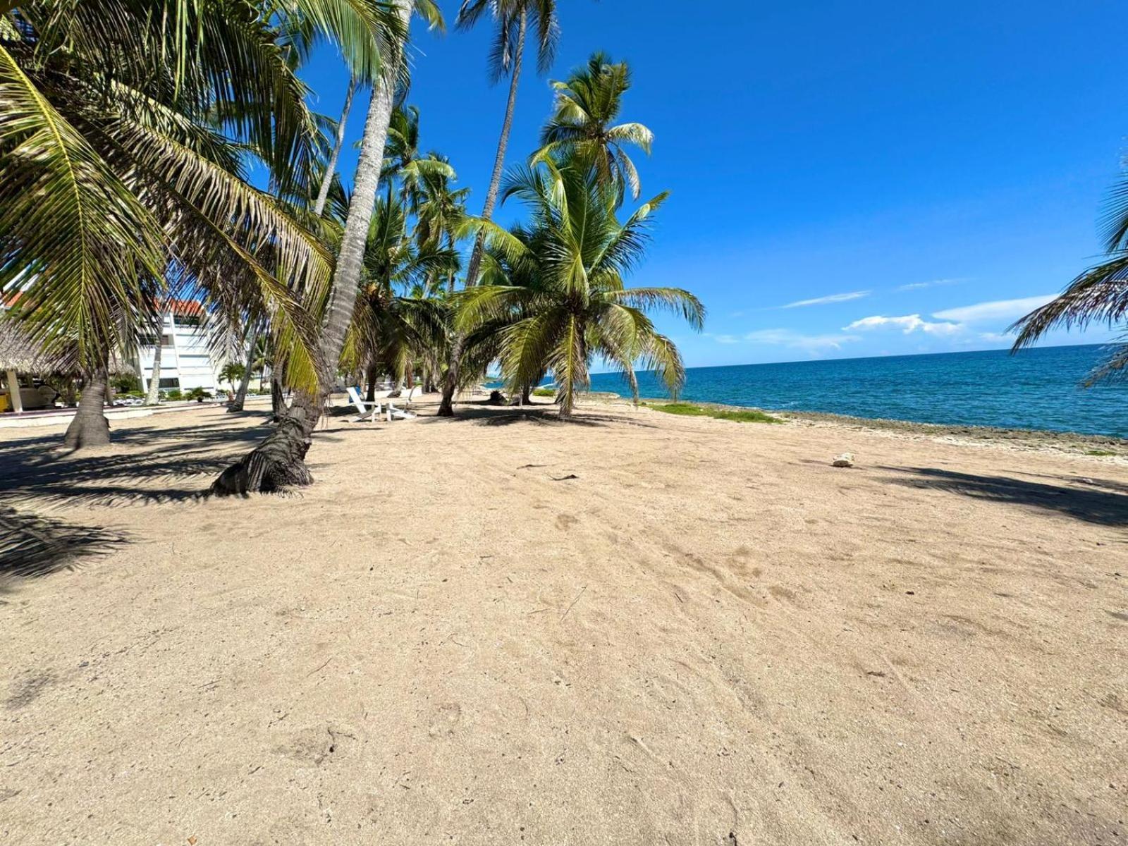 Nana Tu Refugio Con Vista Al Mar, Piscina, Wifi, Lavadora Secadora Reserva Ahora Apartment *