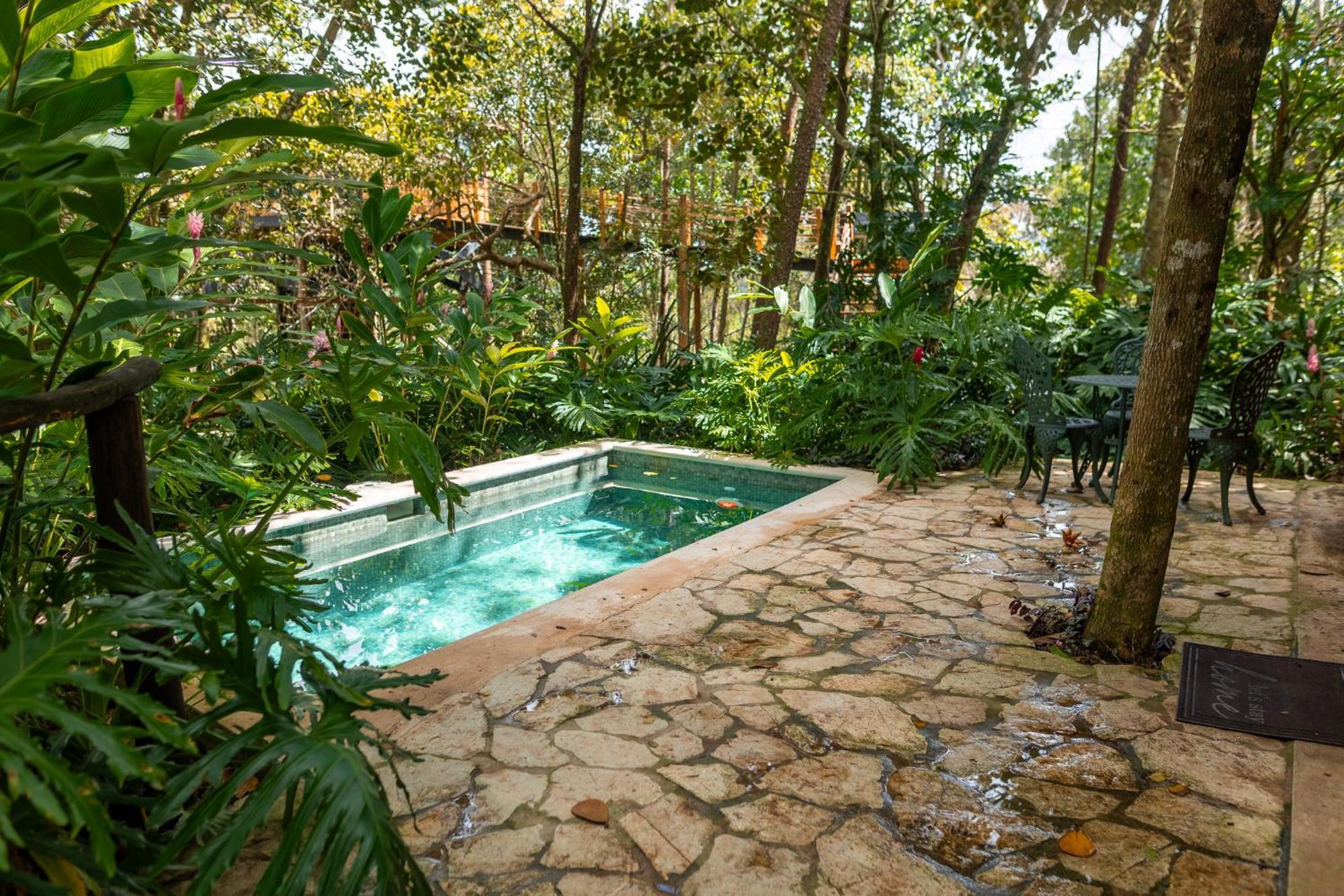 Villa The Grand Forest *