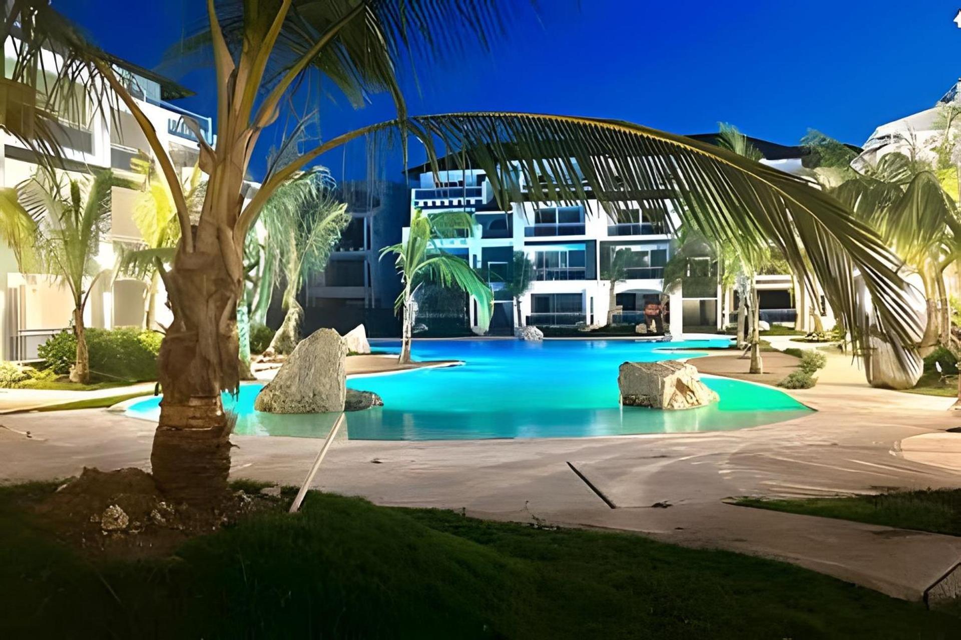 Estrella Dominicus Advantage *