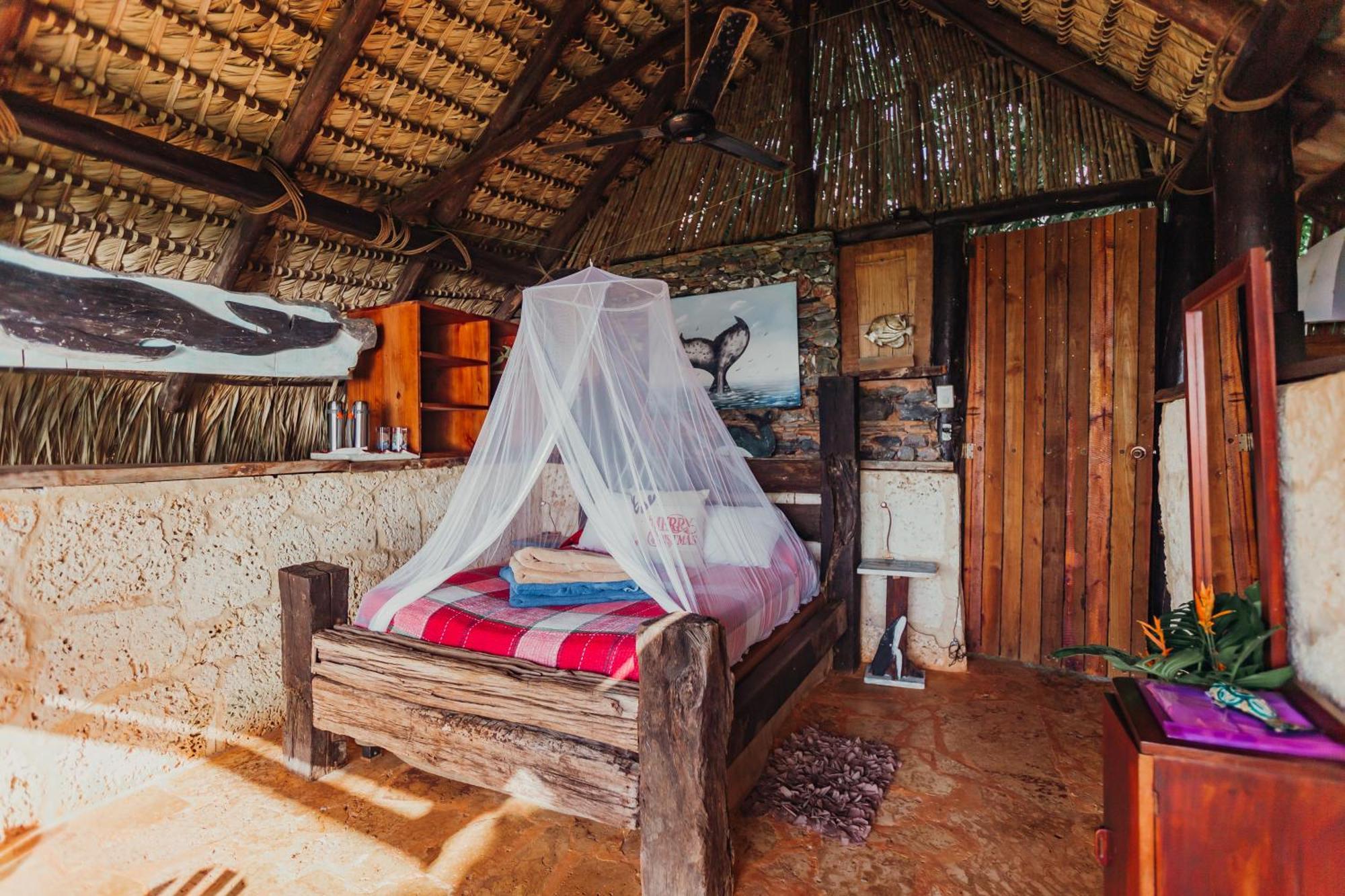 Bed & Breakfast Casa El Paraiso, Eco