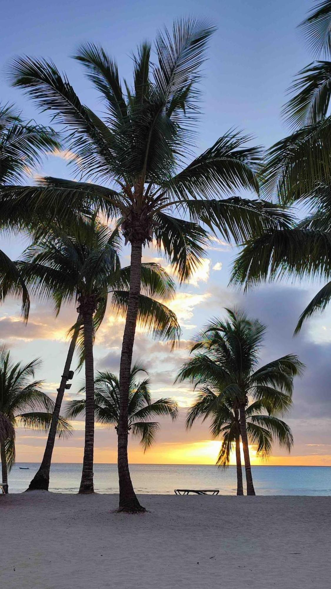 Lovely By The Caribbean *