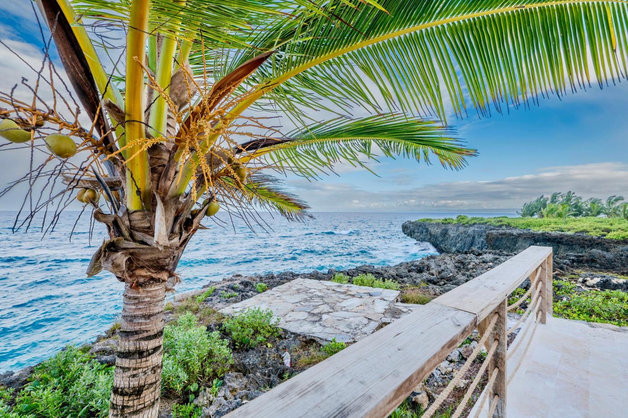 Palm House - Luxury - Samana - Ocean Front Villa *