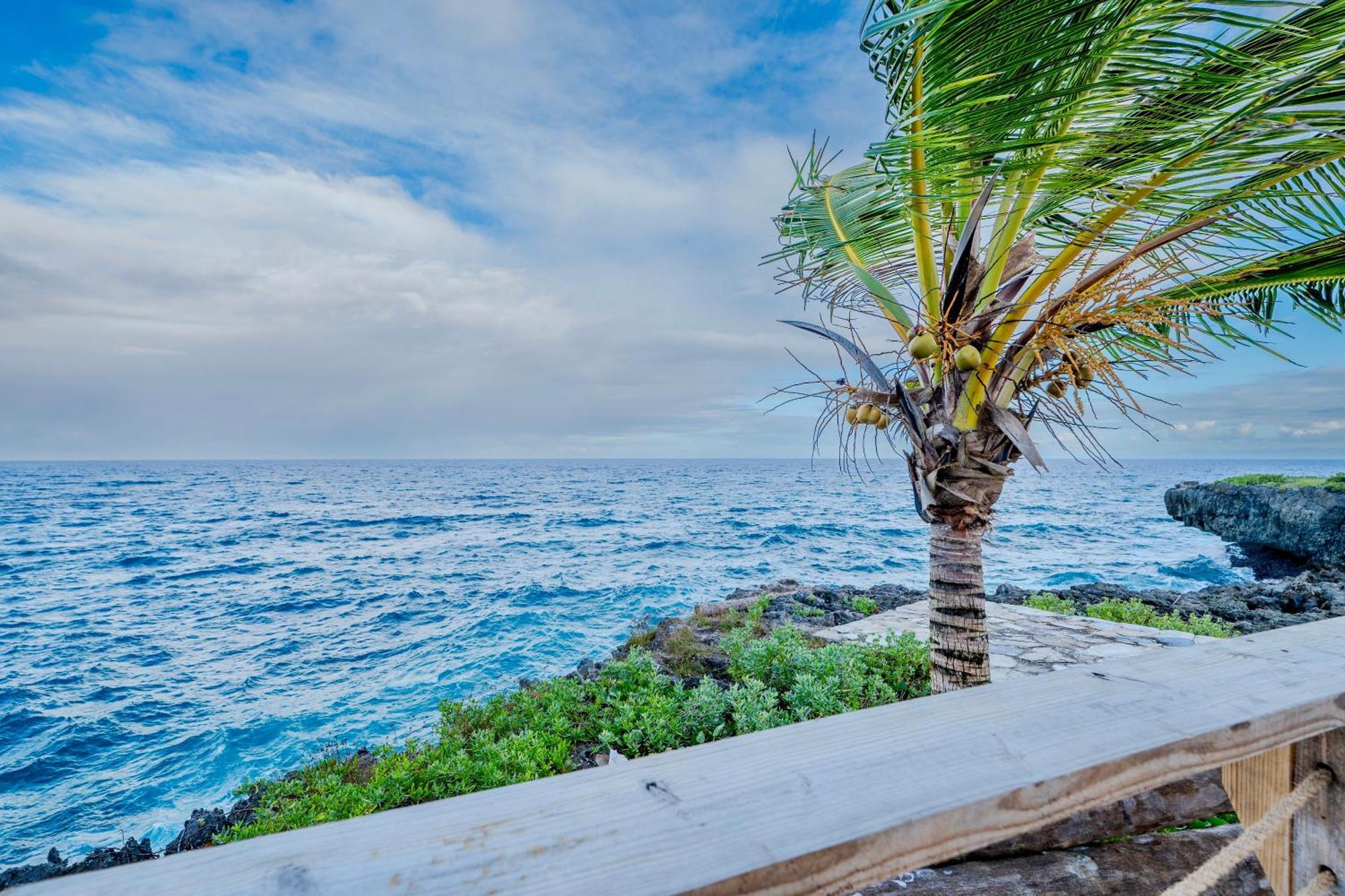 Palm House - Luxury - Samana - Ocean Front Sanchez