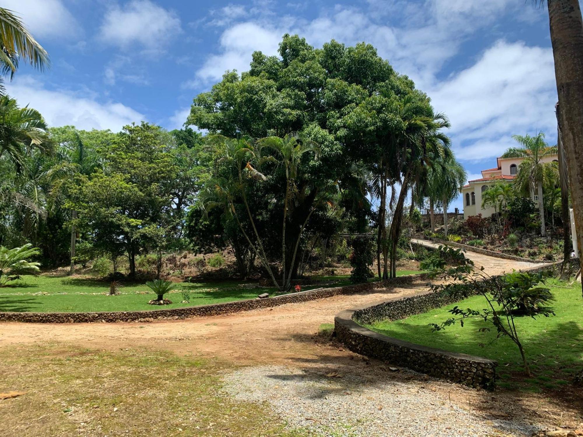 El Castillo Tropical * Cabrera