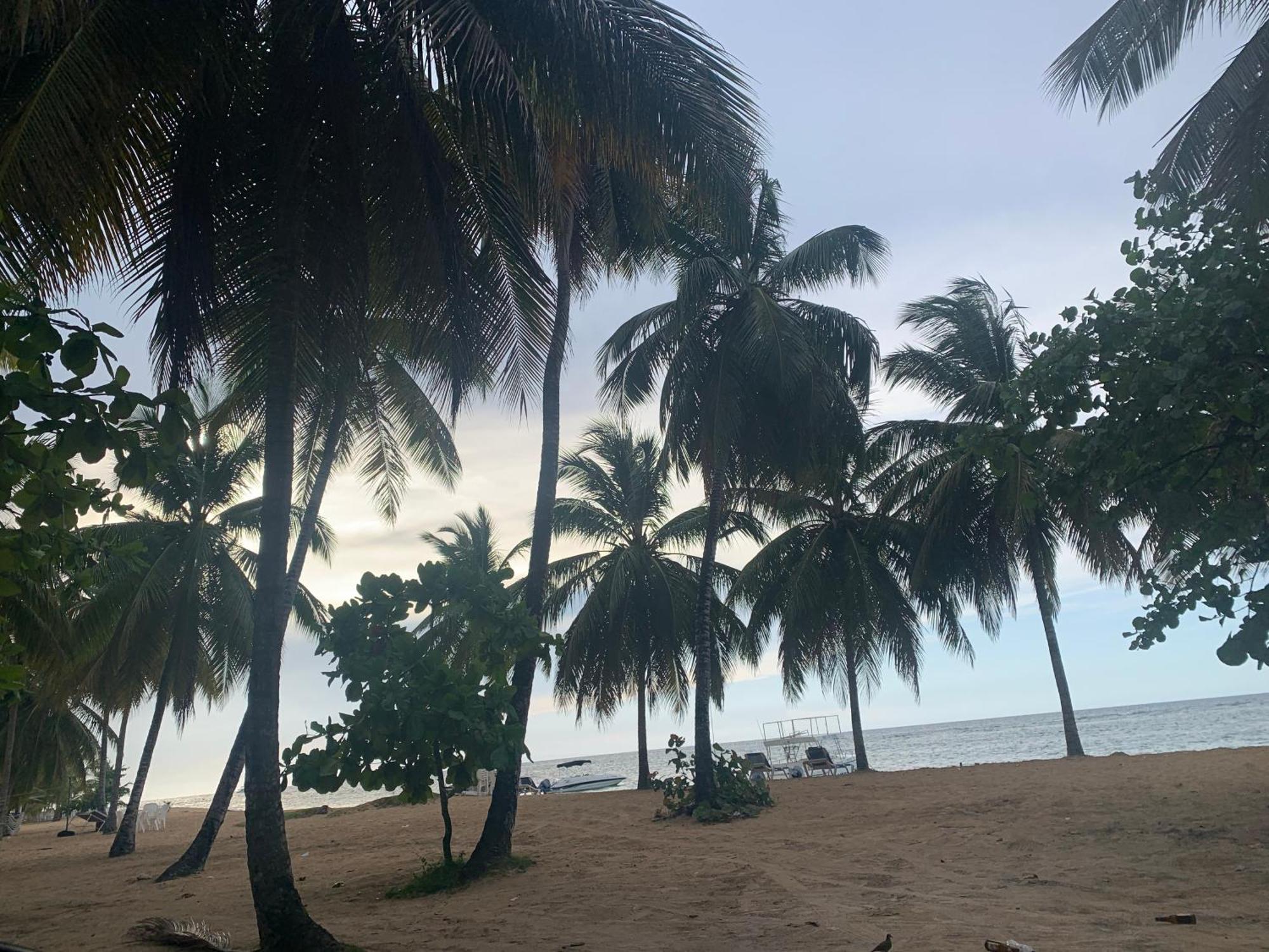 El Castillo Tropical *