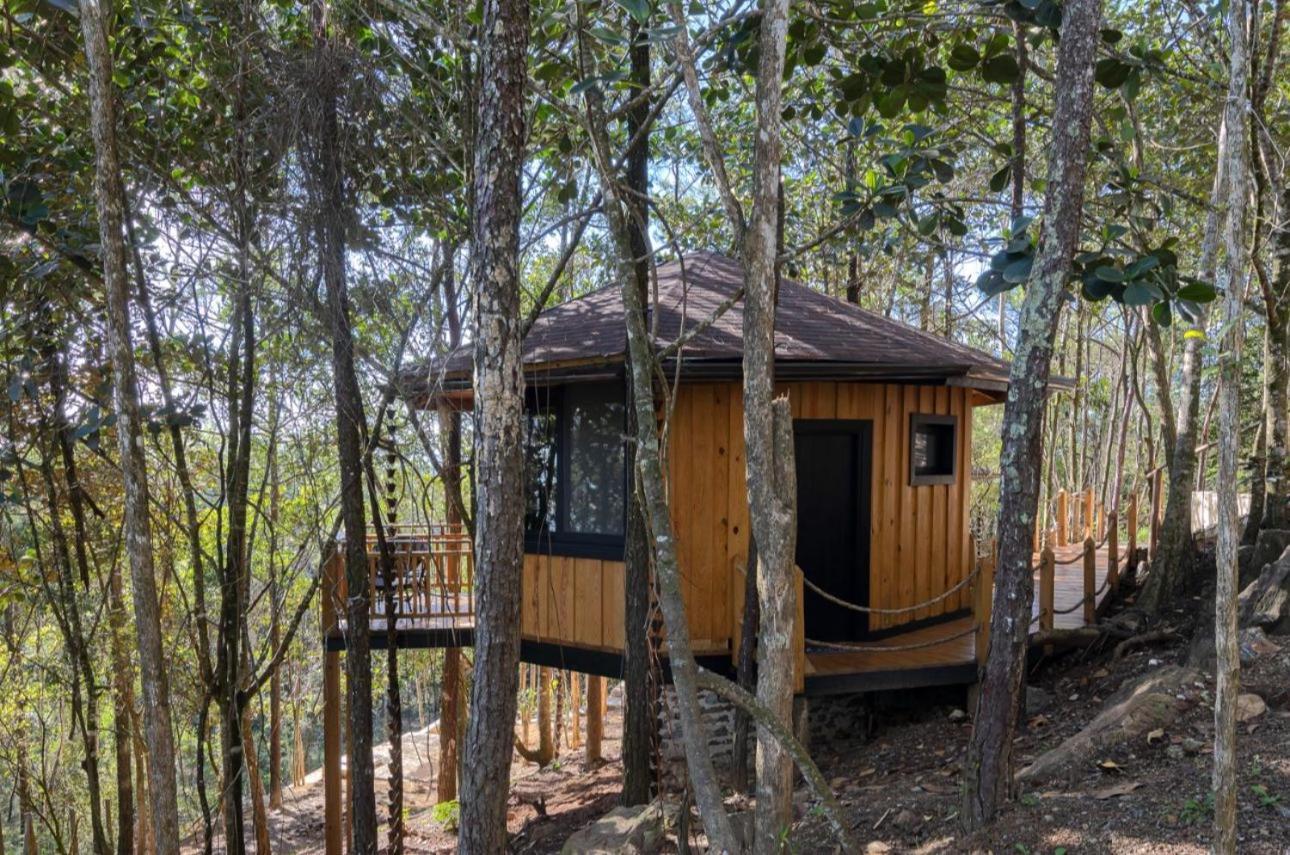 The Grand Forest * Jarabacoa