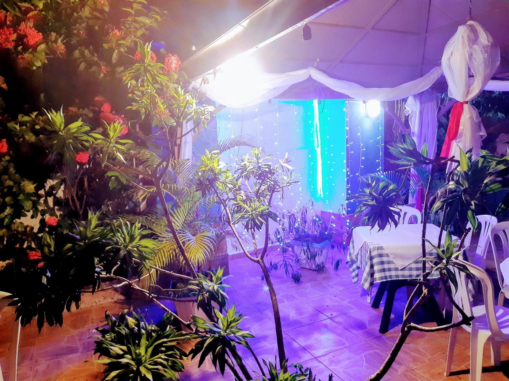 Bed & Breakfast El Tronco Inc