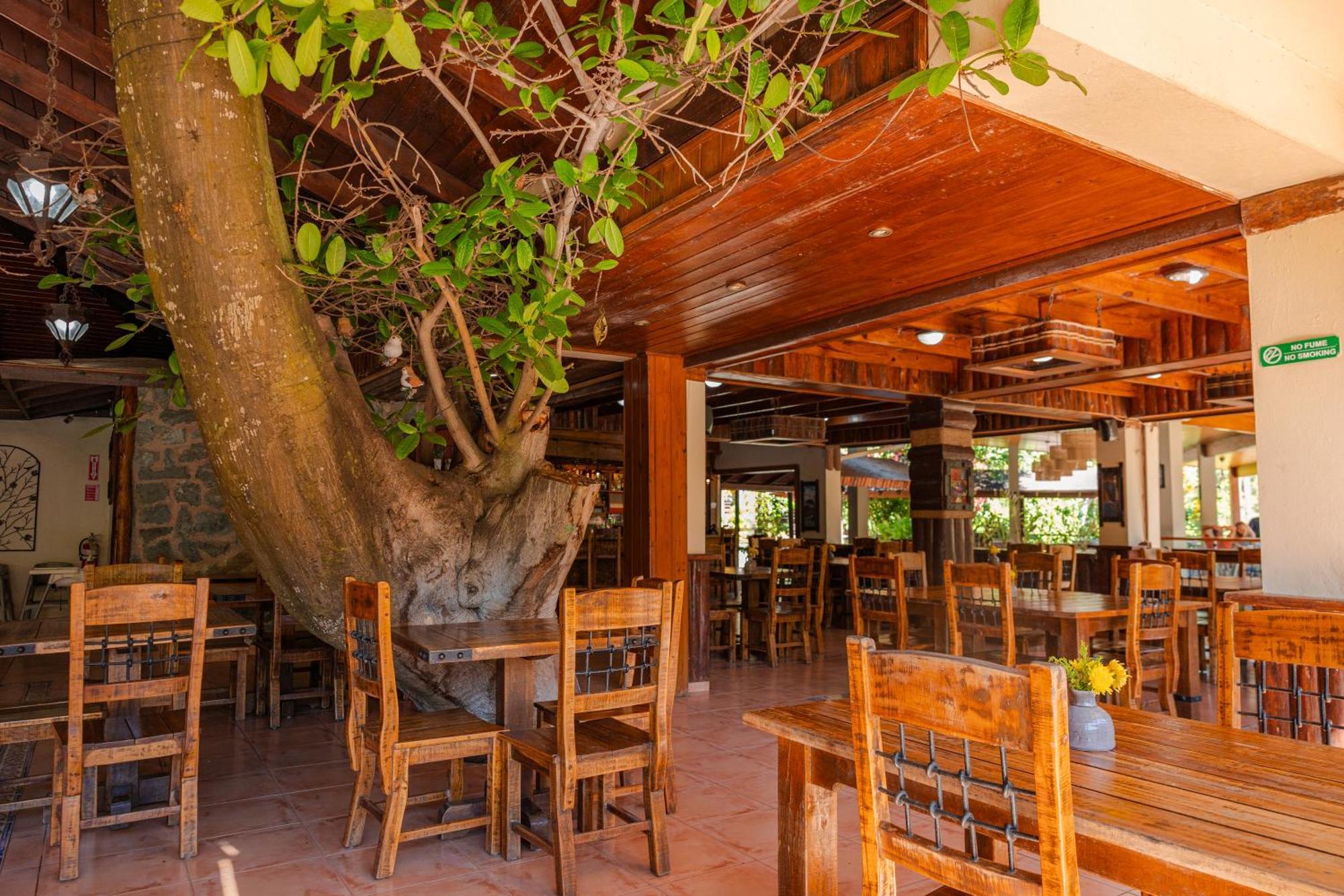 Gran Jimenoa Hotel 4*