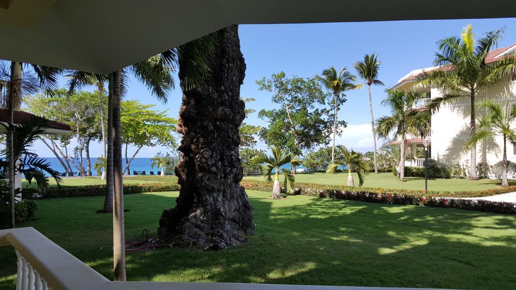 Apartment Hispaniola Beach Ocean View *