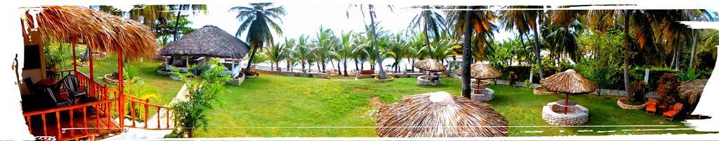 Bed & Breakfast La Mami River Beach - Caribean House