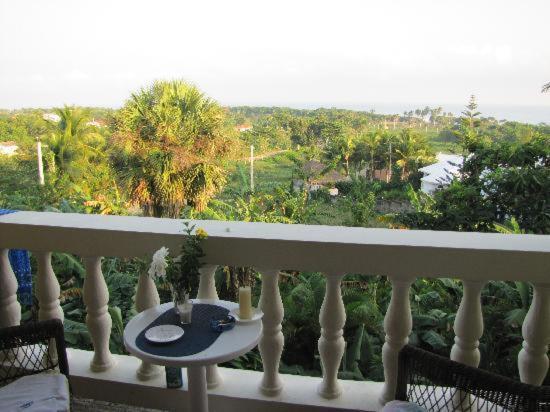 The Coconut Palms Apartment Cabarete