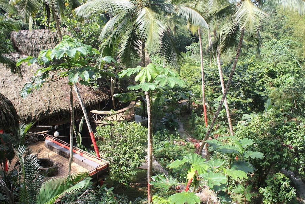 Dominican Tree House Village Samana
