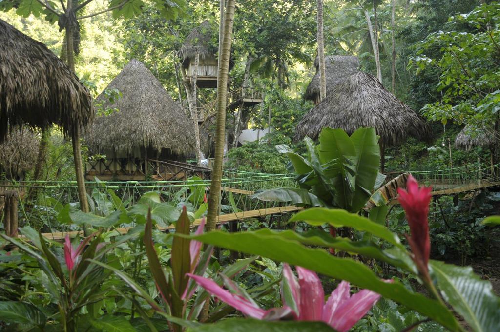 Lodge Dominican Tree House Village Samana