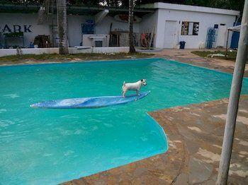 Hotel Laguna Park Cabarete