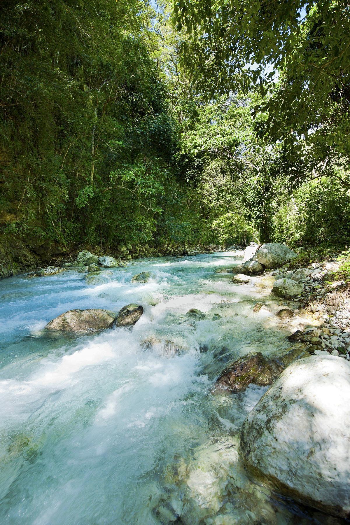 Casa Bonita Tropical & Barahona
