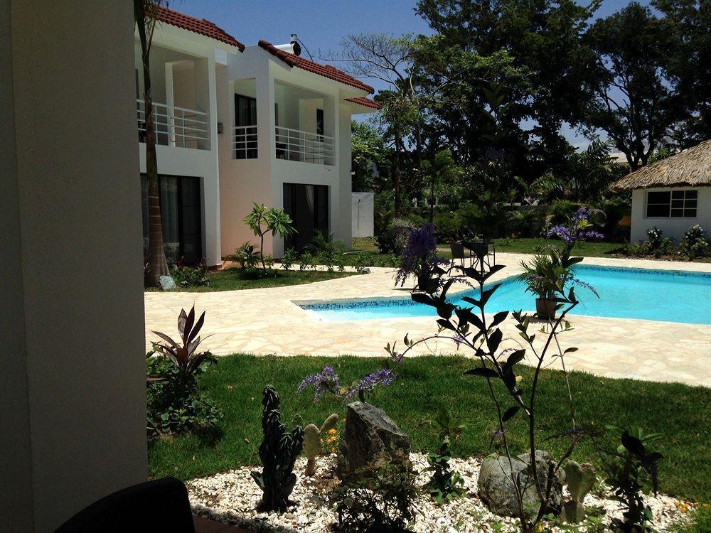 Coral Blanco 3*