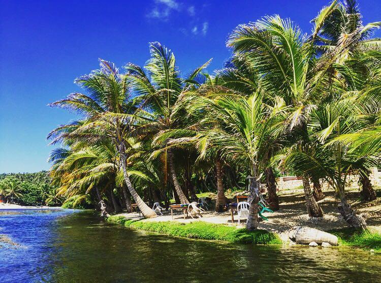 La Mami River Beach - Caribean House