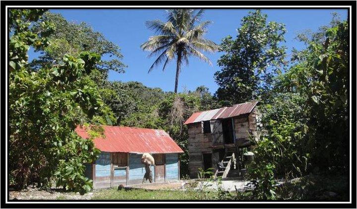 La Mami River Beach - Caribean House Bed & Breakfast Los Patos