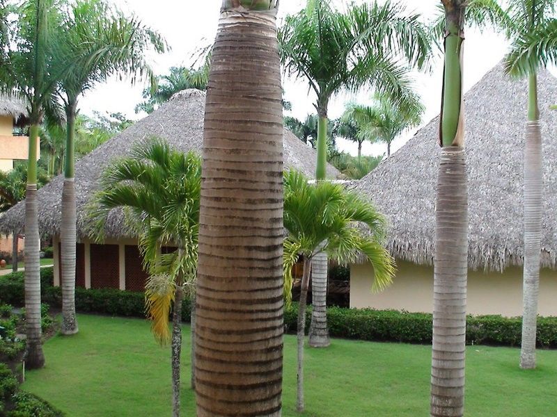 Iberostar Waves Costa Dorada 5* Puerto Plata