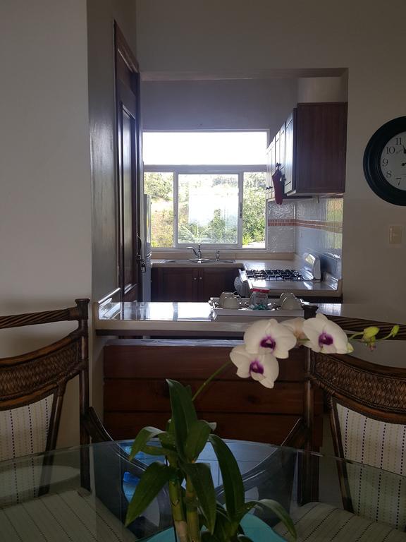 Apartment Hidden Paradise At Apto Del Cerro *