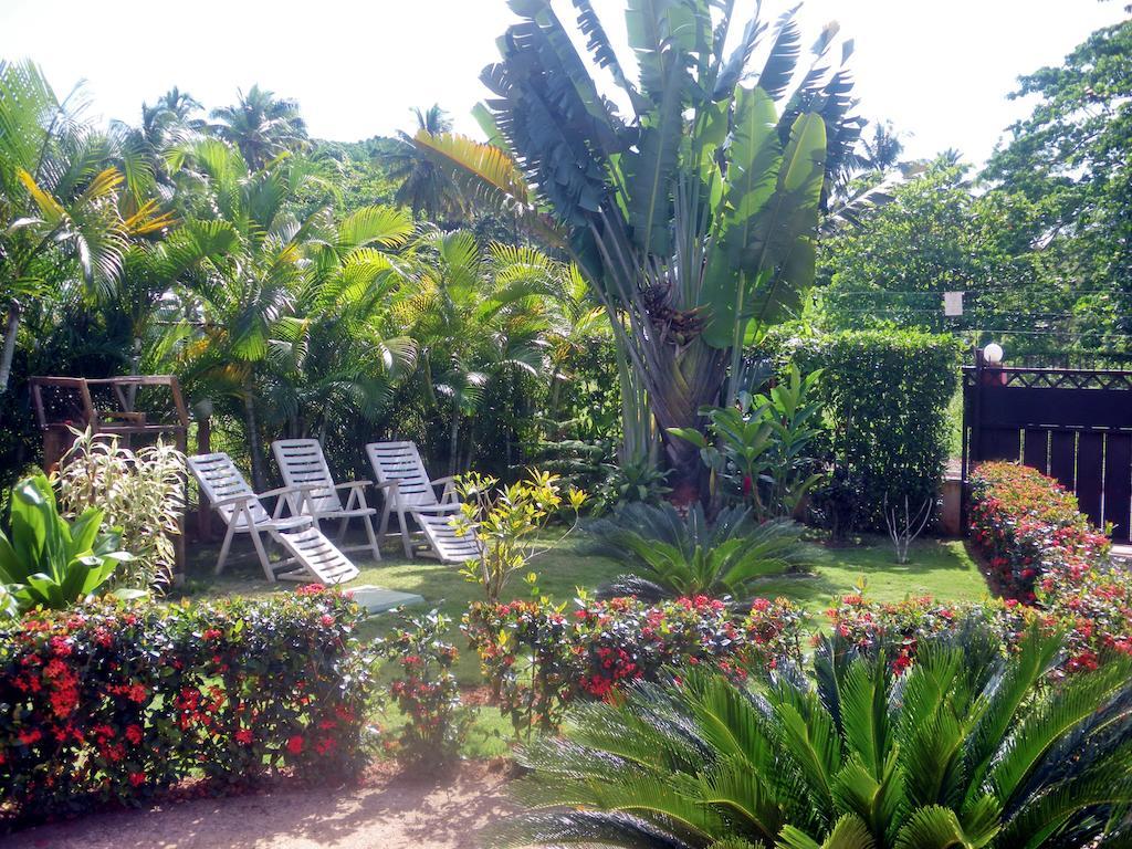 Casa Lily & Coco Aparthotel Las Terrenas
