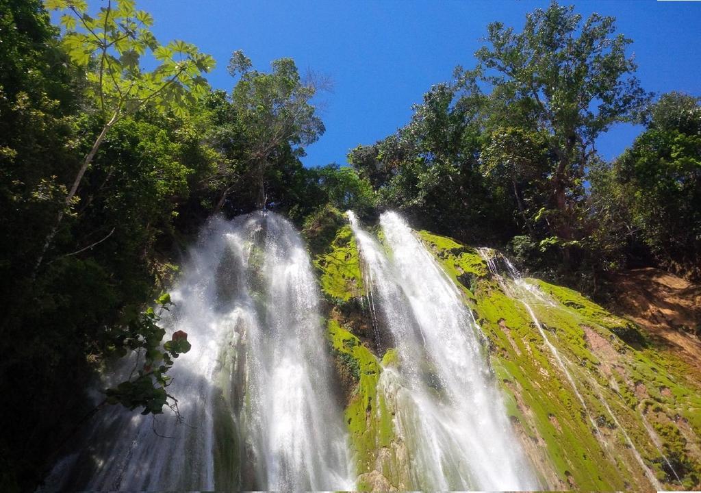 Hidden Paradise At Apto Del Cerro Apartment