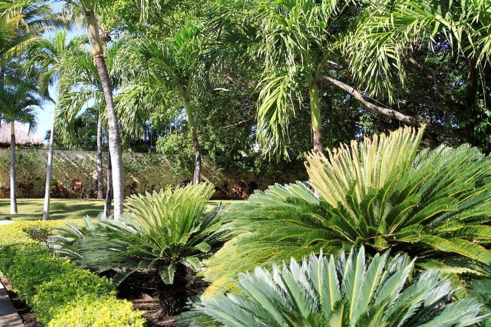 Garden Condos 3*