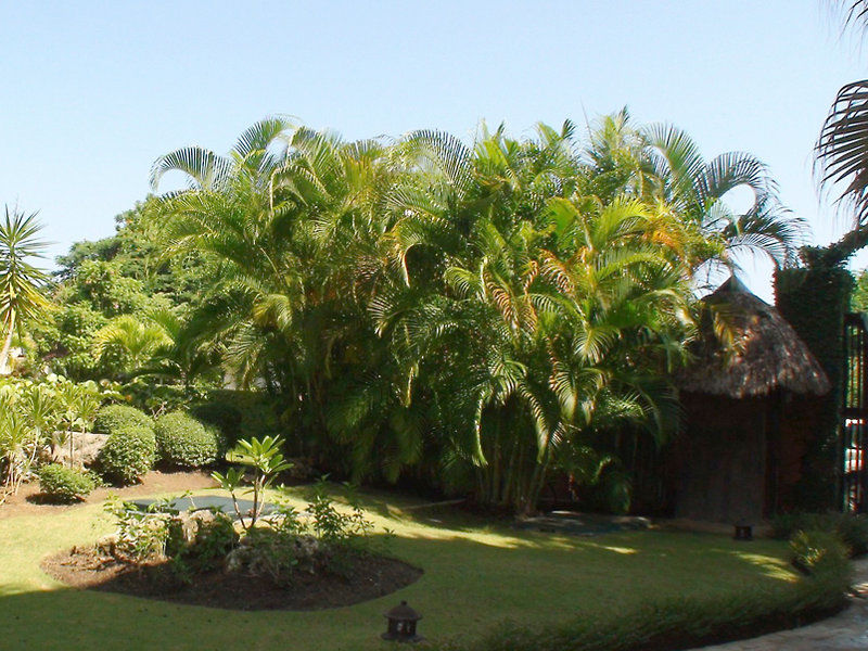 Victorian House 3* Sosua