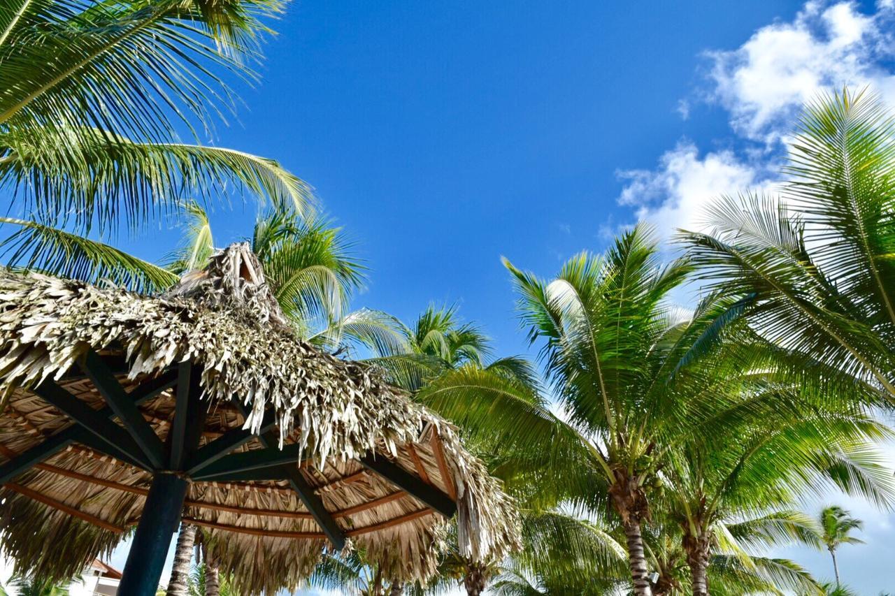 2br Beach Apt @cadaquescaribe Apartment