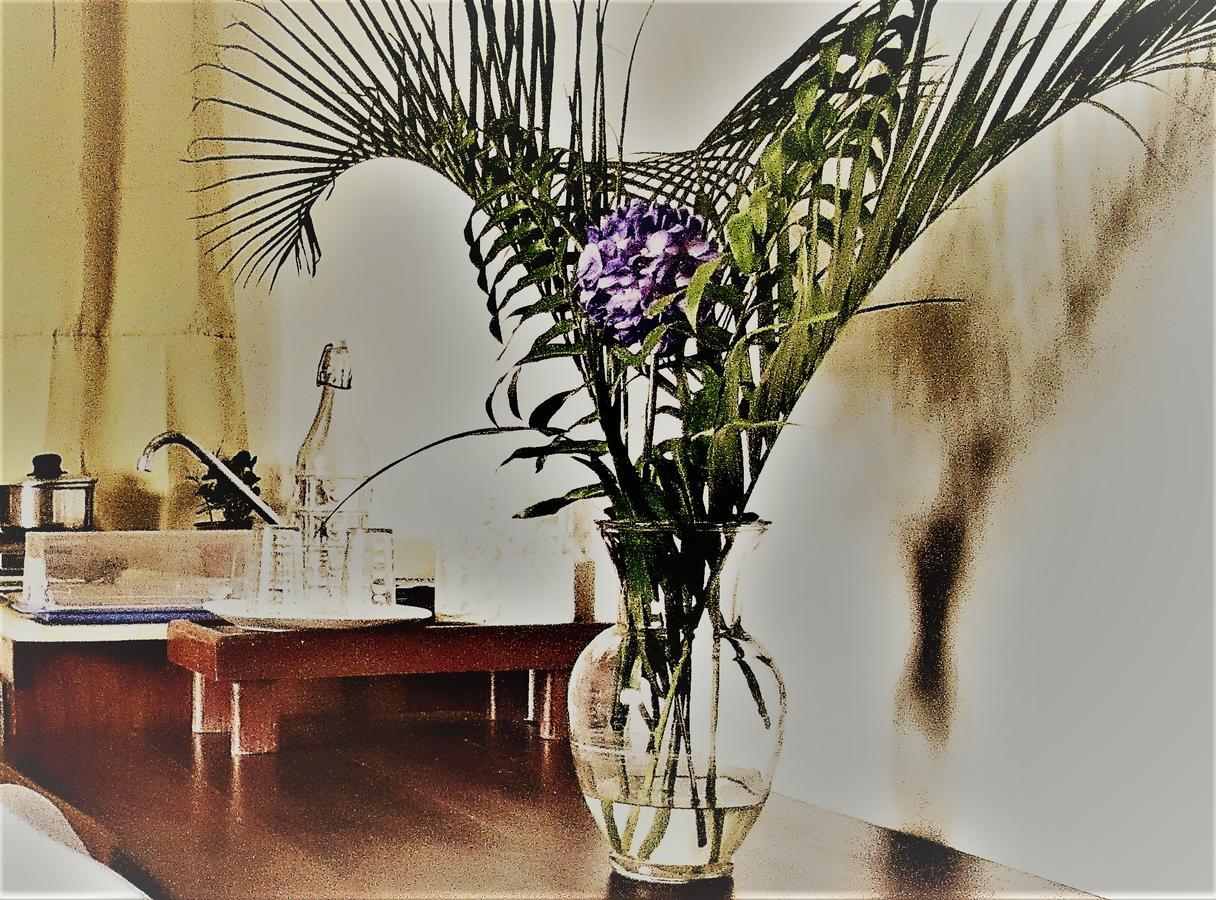 Hotel Boutique Simona 4*