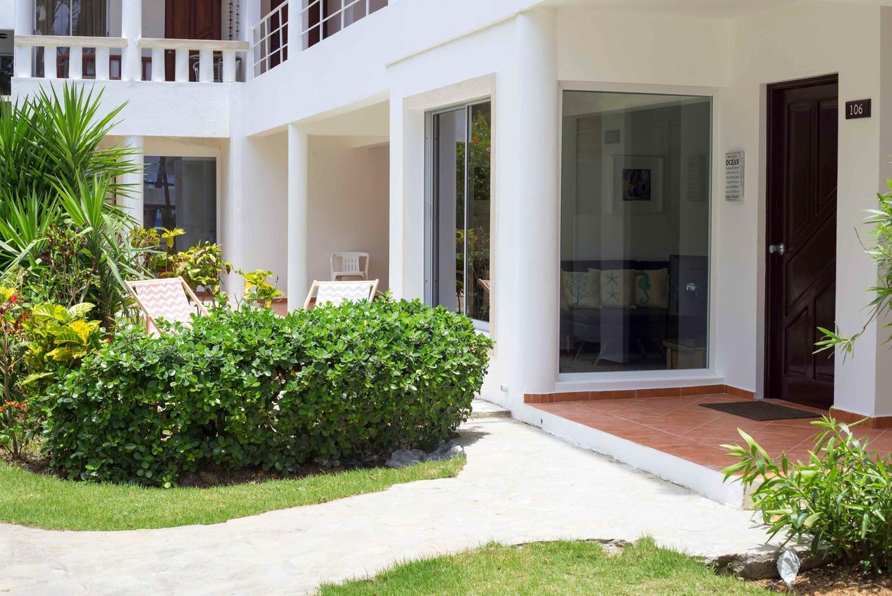 Cabrinha - Direct On Kite Cabarete
