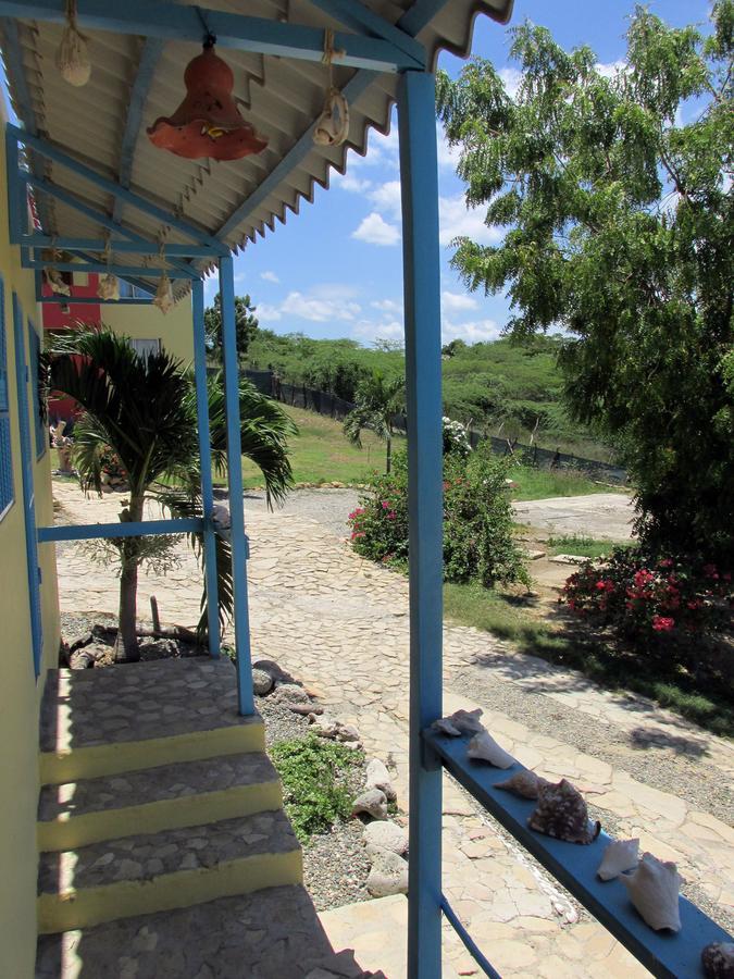 Corales Punta Rusia * Punta Rucia